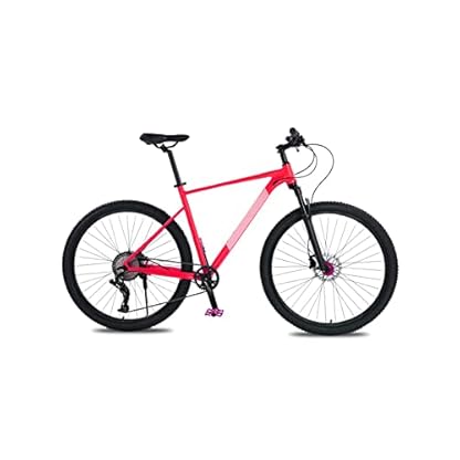 Fahrräder für Erwachsene 21 Zoll großes Rahmen-Mountainbike aus Aluminiumlegierung 10-Gang-Fahrrad Doppelölbremse Mountainbike vorne und hinten Schnellspanner