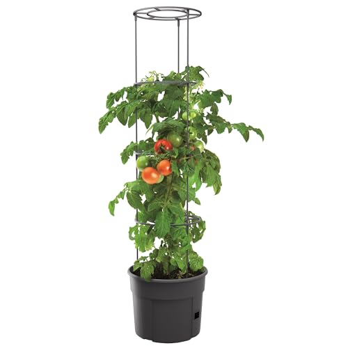 HRB Tomaten Rankhilfe 153 cm hoch, Witterungsbeständiger Pflanzturm mit separatem Bewässerungsloch für Vertikaler Garten, robuster Tomatentopf