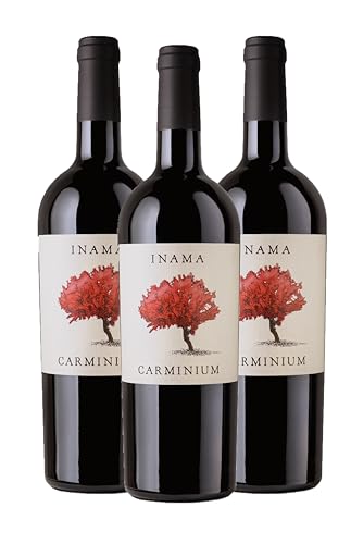 INAMA CARMINIUM COLLI BERICI ROTWEIN TROCKEN [ 3 Flaschen x 750mℓ ] (2019)