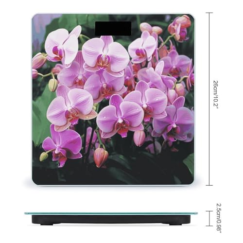 Báscula Digital de Baño Precisa de Cristal Templado miniatura 2