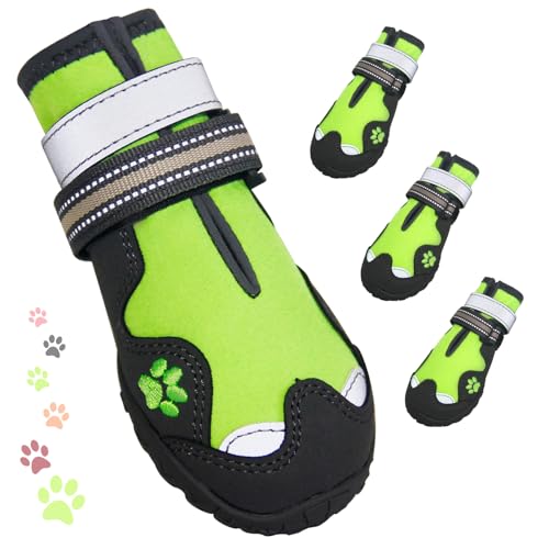 hbOV[YAFISHOAKY ^pV[YA360°~߃~fBAhbOu[c&veN^[~ƉĂܑ̏Ah4s[Xpu[eB˃Xgbvt(TCY8)