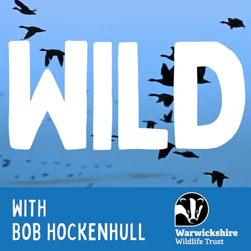 WILD: The Warwickshire Wildlife Trust Podcast cover art