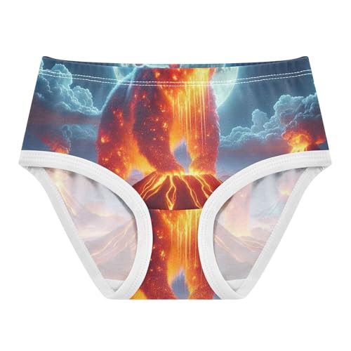 Toddler Girls Underwear 2t Cotton Girl Panties Cute Florals Undies Kids Briefs Volcanic Bear Moonlight
