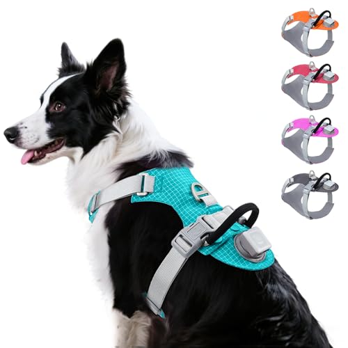 Taglory LED Dog Harness with AirTag Holder, No Pull Light Up Dog Vest for Night Walking, USB Rechargeable Pet Safety Harness with 2 Metal Clips, Adjustable Soft Vest for Large Dogs (Bright Teal, L)