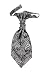 Hello Tie Pre-tied Microfiber Ascot Ruche Paisley Cravats Tie for Men (Silver)