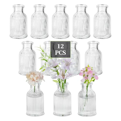 Glasseam Glas Kleine Vasen für Tischdeko: 12 Stück Blumenvase Klein für Hochzeit Party Tisch Deko Home Room Wohnzimmer Dekoration - Mini Vase Modern Glasvasen Set für Blumen Bud Pflanze