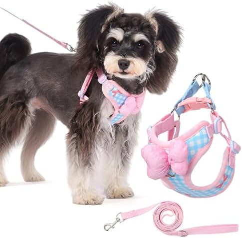 Arreio de couro para animais de estimação, conjunto de coleira re...