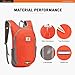 SKYSPER 10L Mochila Plegable Ultraligera Mochila de Viaje Mochilas de Marcha Pequeña Ahorra espacio para Hombre Mujer Viaje Excursiones Cortas Senderismo Imagen de SKYSPER 10L Mochila Plegable Ultraligera Mochila de Viaje Mochilas de Marcha Pequeña Ahorra espacio para Hombre Mujer Viaje Excursiones Cortas Senderismo