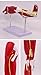 Teaching Model Tools,Human Upper Limb Arm Muscle Structure Anatomy Model Anatomical Model of Neurovascular Arteriovenous Structure of Lower Extremity Leg Muscle Movement System 2 P