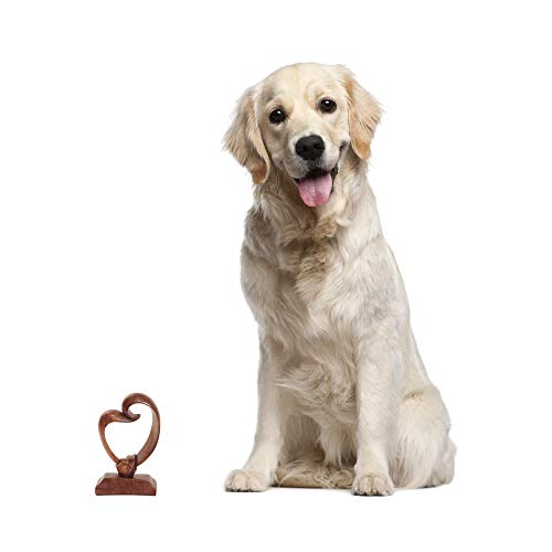 Novica 158689 Brown Romantic Suar Wood Sculpture, 7.75" Tall 'Heart Bond' #TOP3