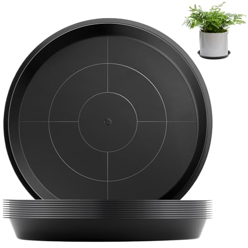 sturiz 10 Stück Blumentopf Untersetzer Rund 12 cm Kunststoff Pflanzenuntersetzer Pflanztopf Untersetzer Topfuntersetzer Pflanzen Schwarz Unterteller Blumentopf für Innen- und Außenpflanzen