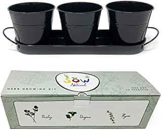 Sow Natural Herb Growing Kit- 3 Metal Plant Pots, Windowsill Planter with Non GMO British Heirloom Herb Seeds. Perfect Grow Your Own Kits for Children & Adults to Plant Indoors & Outdoors (Black)