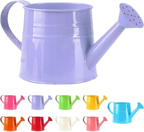 Gießkanne Klein Zimmerpflanzen 1L Kleine Gießkanne Metall Blumentopf Giesskanne Garten Balkon Watering Can Kieskanne Vintage Blumengießkanne Pflanzengießkanne Gartenwerkzeug (1PC/Lila)