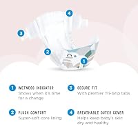 Amazon Brand - Mama Bear Plush Protection Diapers with Leak Protection, Size 7, 23 Count, Hypoallergenic Premium Disposable Baby Diapers, Chlorine Free — image 2