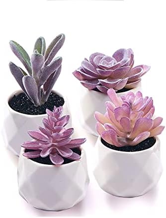 CADNLY Fake Succulent Plant Set - Artificial Succulent Plants for Women Desk - Realistic Faux Succulents in Ceramic Planter Pots - Mini Purple Succulent Decor for Bedroom Bathroom Office Shelf Decor