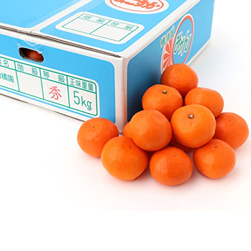 t[c}CX^[I 悱݂ ʕMtg 蕨 j 䌩 a j wj Џj v[g 䋟  ~Mtg Ε Ε lΉ ̂Ή RT (5kg MTCY)