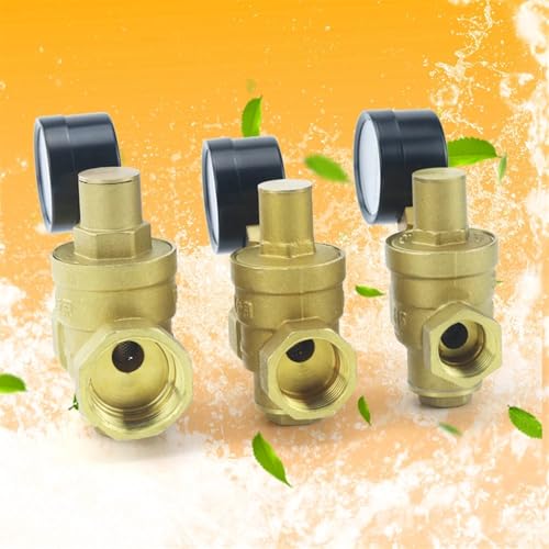 Régulateur de pression d'eau robuste en laiton avec manomètre 16 bar