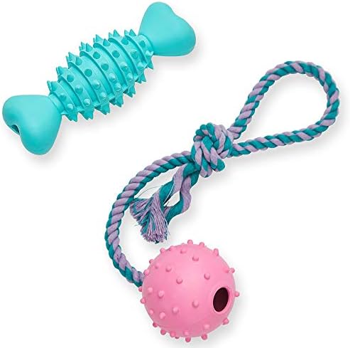 Amazon Brand - Umi Pack of 2 Gift Toys for Puppies & Dogs, Rubber Ring and Spiky Stick Dental Chew Dog Toy Value Pack