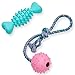 Amazon Brand - Umi, Set da 2 Giocattoli per Cani e Cuccioli, Palla per Giocare e Tirare e Lisca di Pesce di Gomma, da Masticare, Formato convenienza