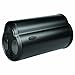 Bazooka BTA8100FHC 8-Inch Powered Subwoofer (Black)
