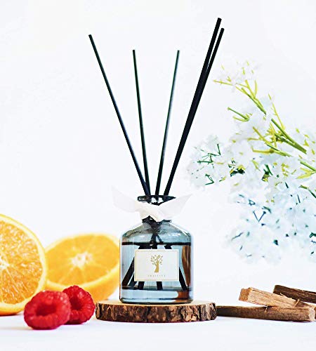 Take me to \'Hilton\' Hotel Inspired Reed Diffuser Set| Reed Diffuser Sticks with Oil 1.6oz| Scented Sticks with Notes of Tangerine, Raspberry & Cedarwood| Oil Sticks for Bathroom & Home Fragrance Gift