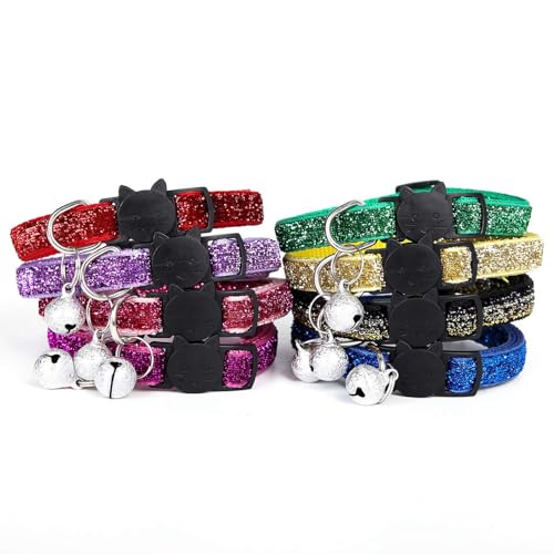 Lp t 8_ZbgL̎ ANZT[ lR  Z[teBobNt t