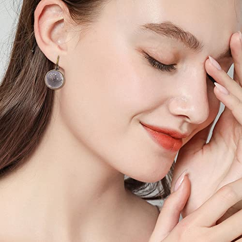 20Pcs Brass Leverback Earring Hooks Settings With Flat Round Blank Earring Cabochons Bezel Trays For Diy Earring Dangle Jewelry Making, Antique Bronze #TOP5