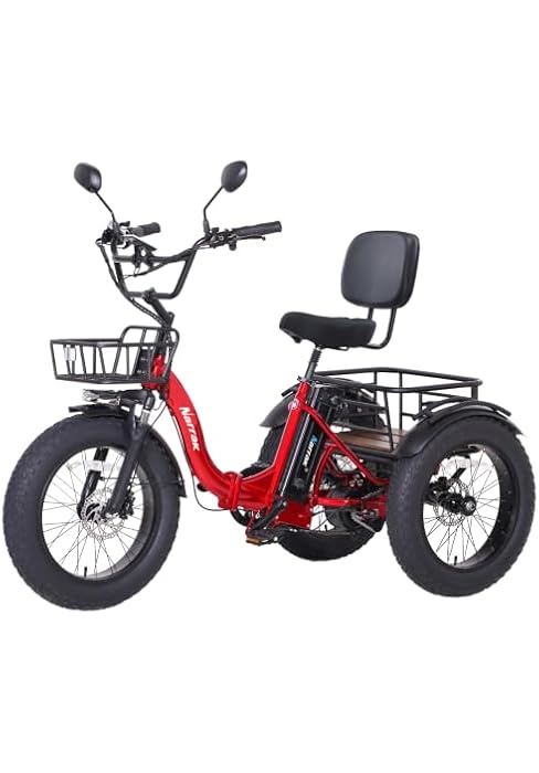Electric Tricycle S180