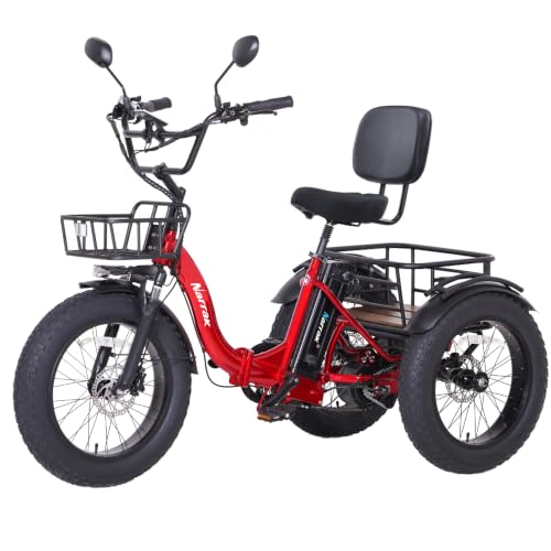 NARRAK 750W Aluminum Folding Trike