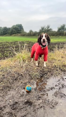pet wiz Warmes Vierbeiner-Fleece für Hunde – Superweich, wetterfest, in verschiedenen Größen und Farben erhältlich (Koralle, Klein)