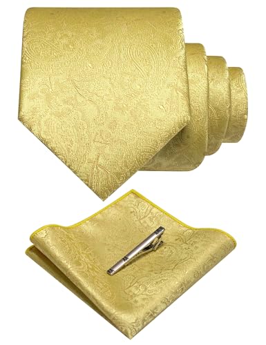 Image of RBOCOTT Silk Stripe Plaid Tie and Pocket Square with Tie Clip Sets for Men
