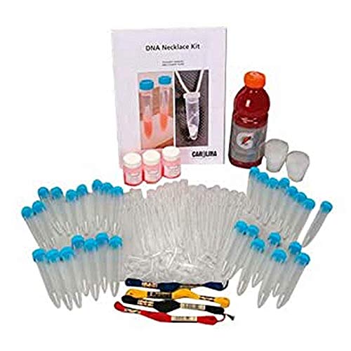 Biolab DH 211138 DNA-sound-visualisatieset voor 32 manipulaties