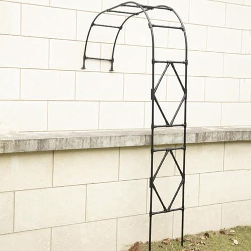 Arco de enrejado de jardín para plantas trepadoras, arco de rosas de metal, pérgola resistente a la intemperie, diseño de medio arco para jardín, color negro, 120 x 240 x 40 cm, ideal para rosas y
