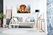 Wild African Lion Canvas Wall Art Picture Print (30x20in)