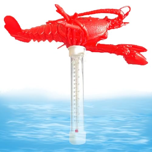 Thermomètre de piscine flottant et jauge de température à cordon