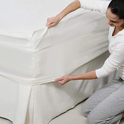 Image of Spaces Atrium 144 TC 100% Cotton King Size Fitted Double Bedsheet with 2 Pillow Covers (Geometric, 72 inch X 78 inch Inches ) - Beige (ATR-09-AW19)