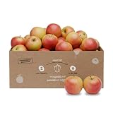 Jonagold Äpfel 5 kg - Knollenliebe Apfelbox aus der Pfalz ...