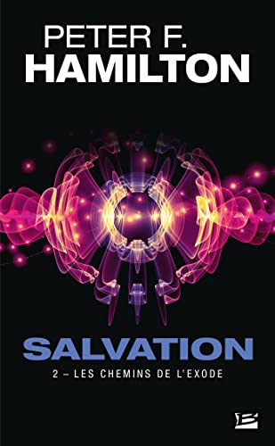 Illustration de Salvation Lost