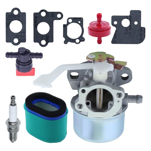 Kit filtre pour carburateur 698055 résout démarrage difficile moteur 121607 calage
