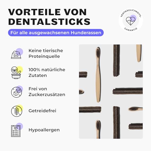 HEY HOLY Dental Sticks für Hunde | 180 g Hundeleckerli zur täglichen Zahnpflege | Schutz für Zähne & Zahnfleisch | 100% natürliche, getreidefreie Inhaltsstoffe