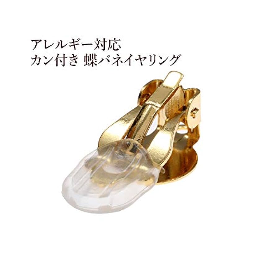 蝶バネイヤリング サージカルステンレス メルカリ便 22日まで 蝶バネイヤリング サージカルステンレス メルカリ便 22日まで 蝶