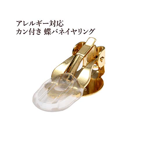 蝶バネイヤリング サージカルステンレス メルカリ便 22日まで 蝶バネイヤリング サージカルステンレス メルカリ便 22日まで