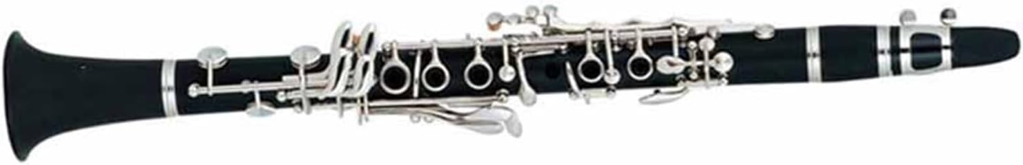 Clarinet 17 Keys Beginner Hard Rubber Tube