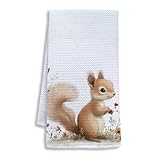 Shrago Squirrel Decor Kitchen Towels, Gifts for Squirrel Lovers Dish Tea Towels for Kitchen, Animal Lover Gifts Decorative Hand Towel for Kids Bathroom Decor, 16x24 Inch