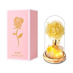 Hydrangea Tree-golden Yellow