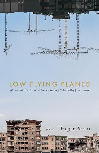 LOW FLYING PLANES: Poems image 2