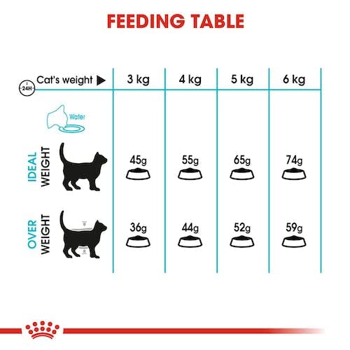 Royal Canin Urinary Care | dwupak | 2 x 400 g | sucha karma dla dorosłych kotów | do utrzymania zdrowia dróg moczowych i niskiego pH