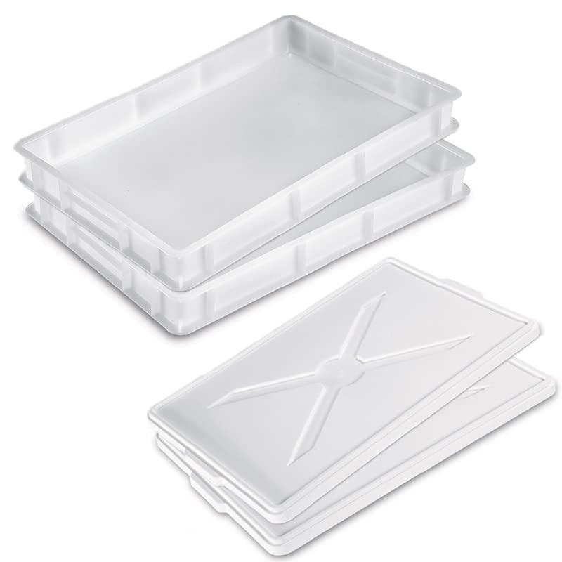 VIRSUS Cassetta con Coperchio per impasti Pizza e Pane HD1, misura 60x40x10 cm e capacità 20 Litri, colore neutro, Contenitore per alimenti, porta impasto per panetti (2 Cassette + 2 Coperchi)
