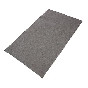 41nplt7dswl. sl500 . ss300