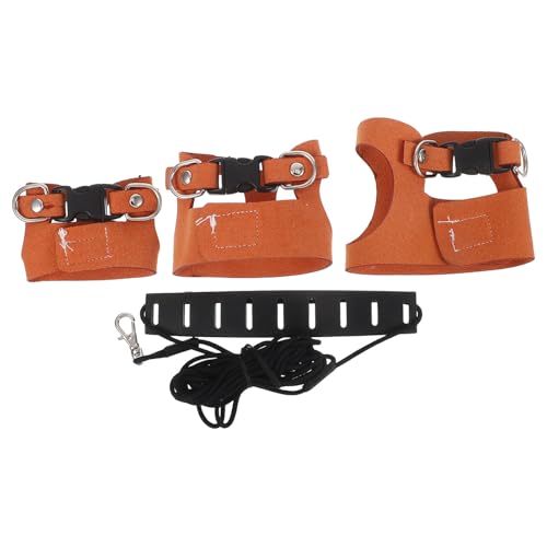 Luxshiny ^ybgpxXgn[lXi[Vtj - XAnX^[Abǧ[v ȉOg[jO◷sɍœK - 킢n[lXZbg